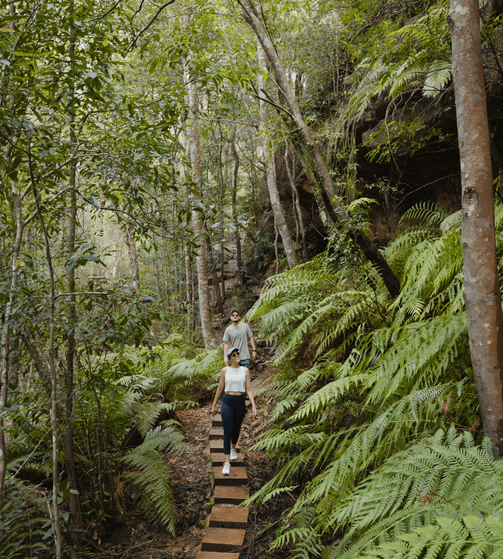Couple walking through forest 