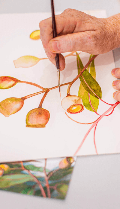 Creative Escape: Artist Debra Meier’s Guide To The Central Coast Peppermint